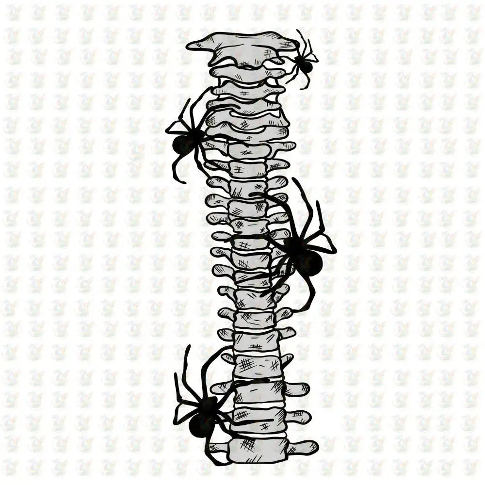 Spine Bone Back Print DTF Transfer – Ready to Press – Halloween Skeleton Anatomy Design - House Of DTF Shirt